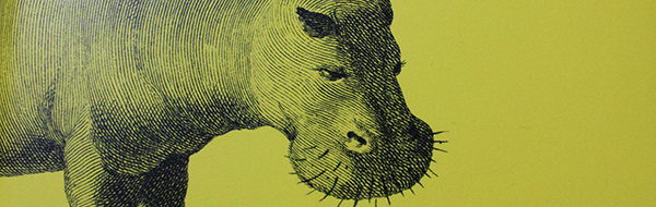 Arno Geiger – Selbstporträt mit Flusspferd
